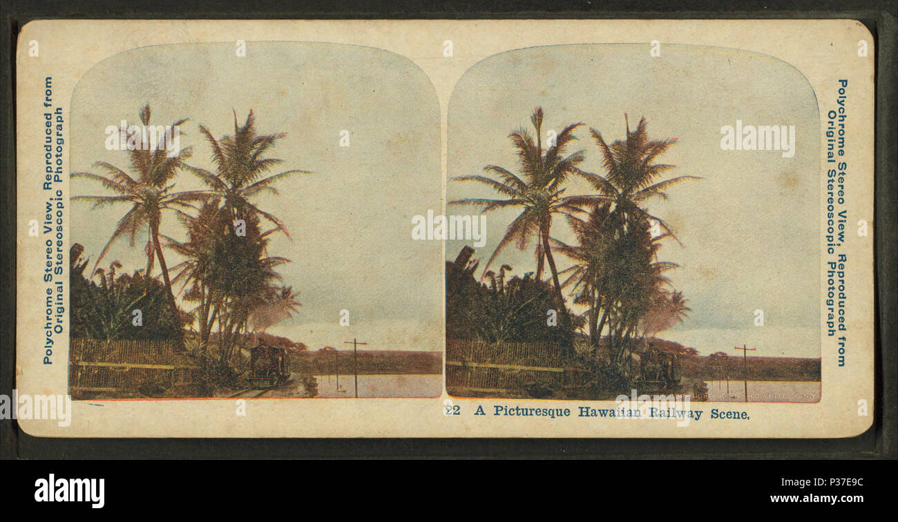 12 Eine malerische Hawaiian Railway Szene, von Robert N. Dennis Sammlung von stereoskopische Ansichten 2. Stockfoto