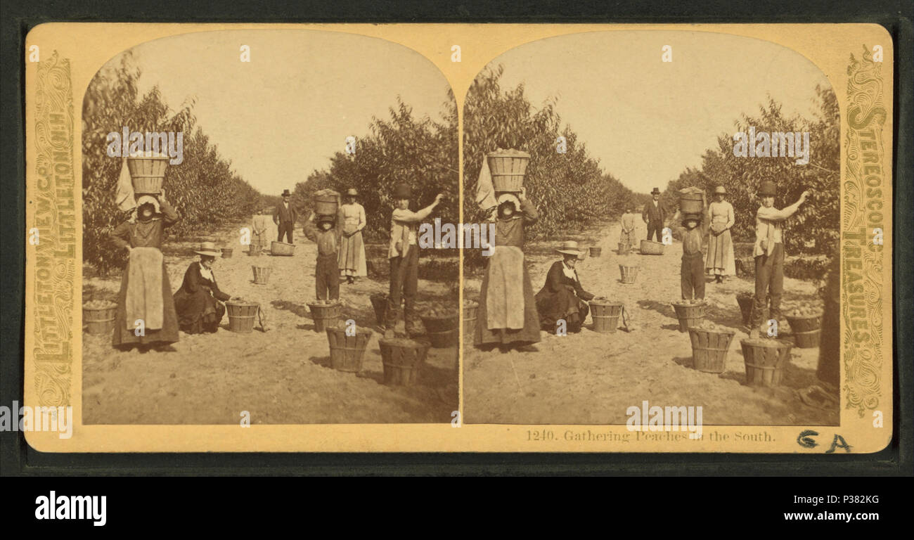 118 Jahre Pfirsiche im Süden, von Littleton, Co. Stockfoto