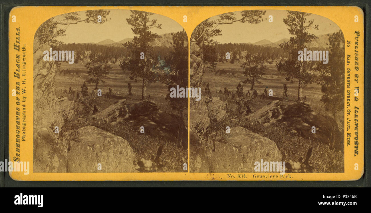 122 Genevieve Park, von Illingworth, W. H. (William H.), 1842-1893 Stockfoto