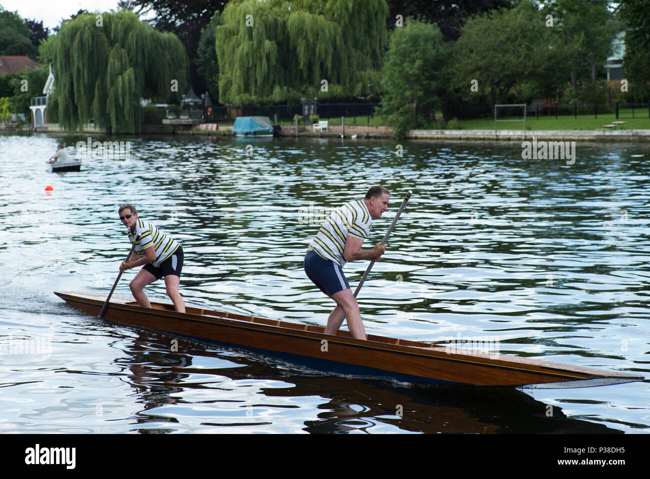 Thames stochern Meisterschaften 2018 mehrere Werte. Stockfoto