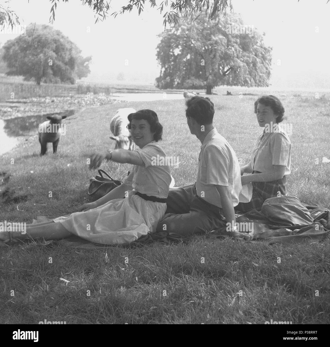 1950er Jahre, historische Bild, zwei Frauen und ein Mann sitzen zusammen im Freien auf einer Wiese in einem Park riverank haben überraschen die Besucher, ein kleines Lamm und Schaf, England, UK. Stockfoto