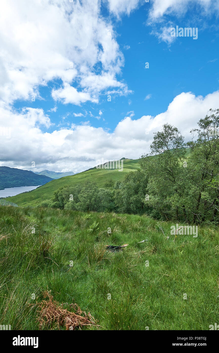 Ländliche Landschaft Weg zu Ben Lomond, und die Trossachs National Park, Stirlingshire schottischen Highlands Stockfoto