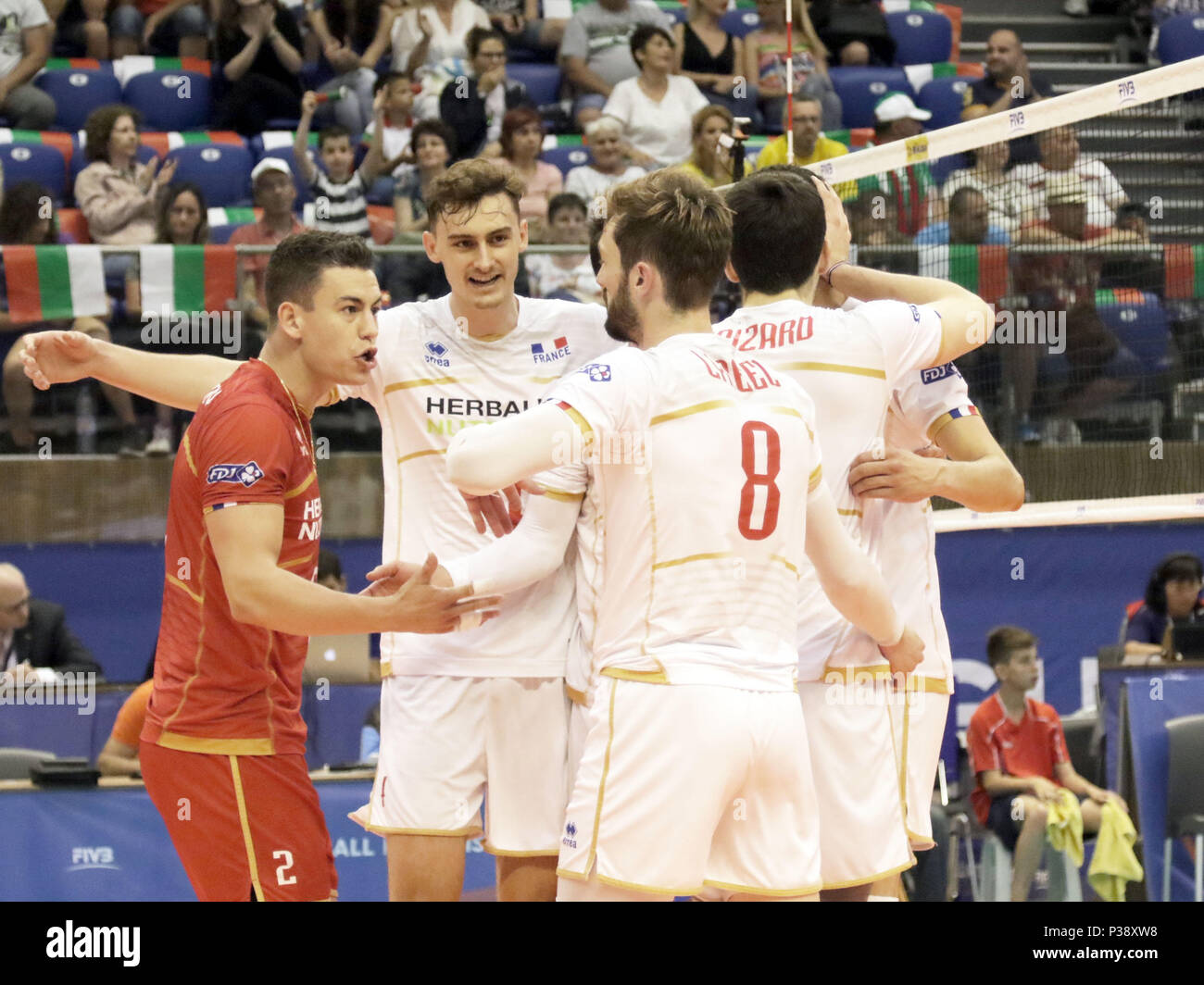 Varna, Bulgarien. 17. Juni 2018. Die Freude der französischen Mannschaft, von links Jenia GREBENNIKOV (Frankreich), Jean PATRY (Frankreich). mens Volleyball Nationen Liga, Woche 4, Kanada vs Frankreich, Palast der Kultur und Sport, Varna/Bulgarien, 17. Juni 2018, der vierte der 5 Wochenenden der ersten Runde in der neu etablierten mens Volleyball Nationas Liga erfolgt in Varna/Bulgarien. Quelle: Wolfgang Fehrmann/ZUMA Draht/Alamy leben Nachrichten Stockfoto