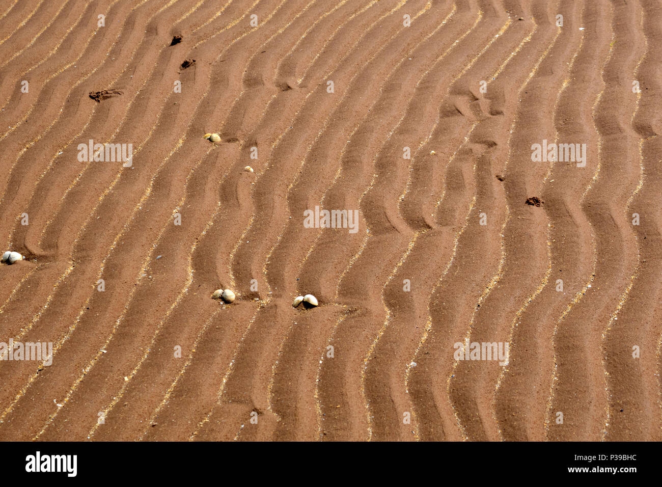 Strand Wellen Stockfoto