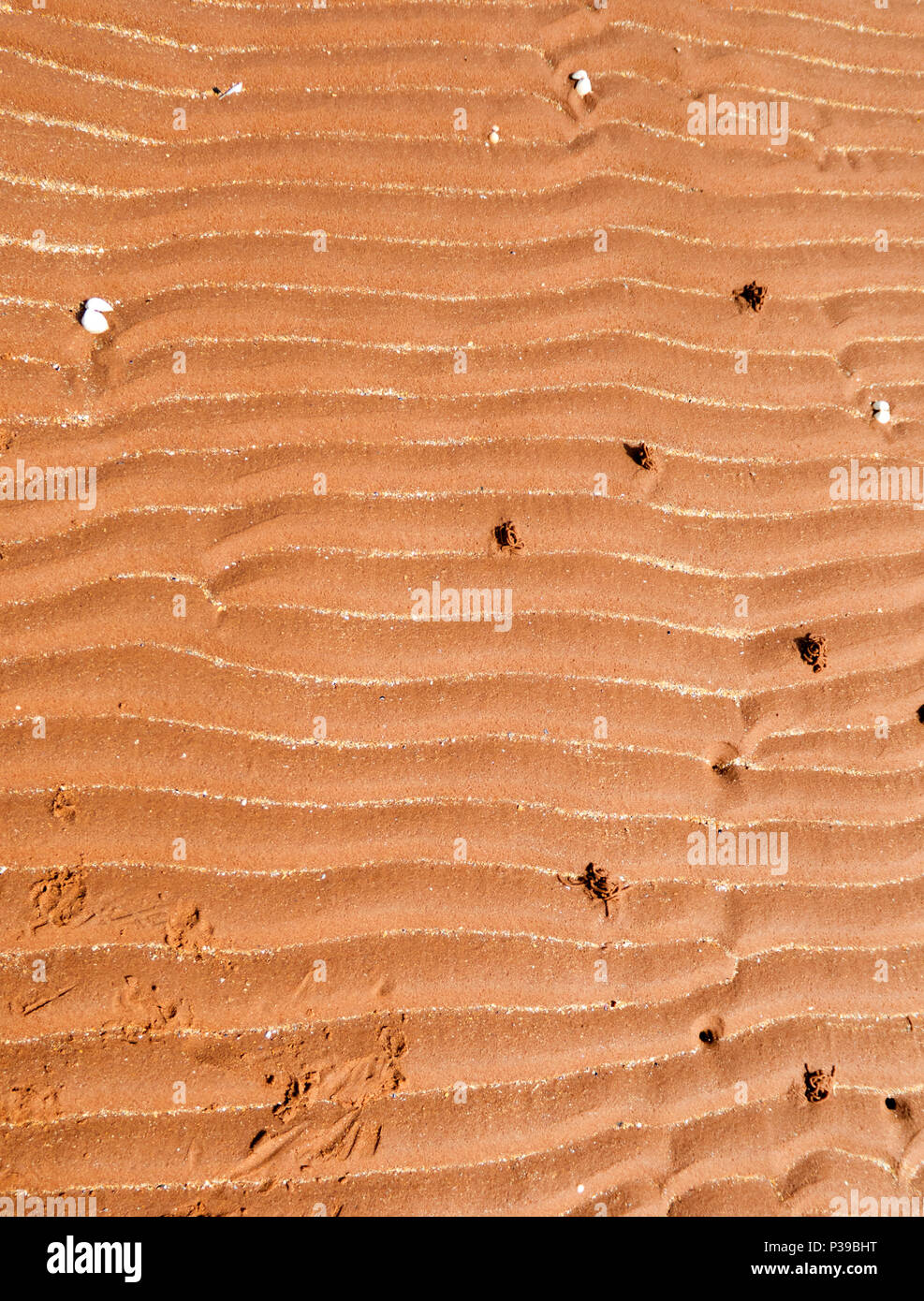 Strand Wellen Stockfoto