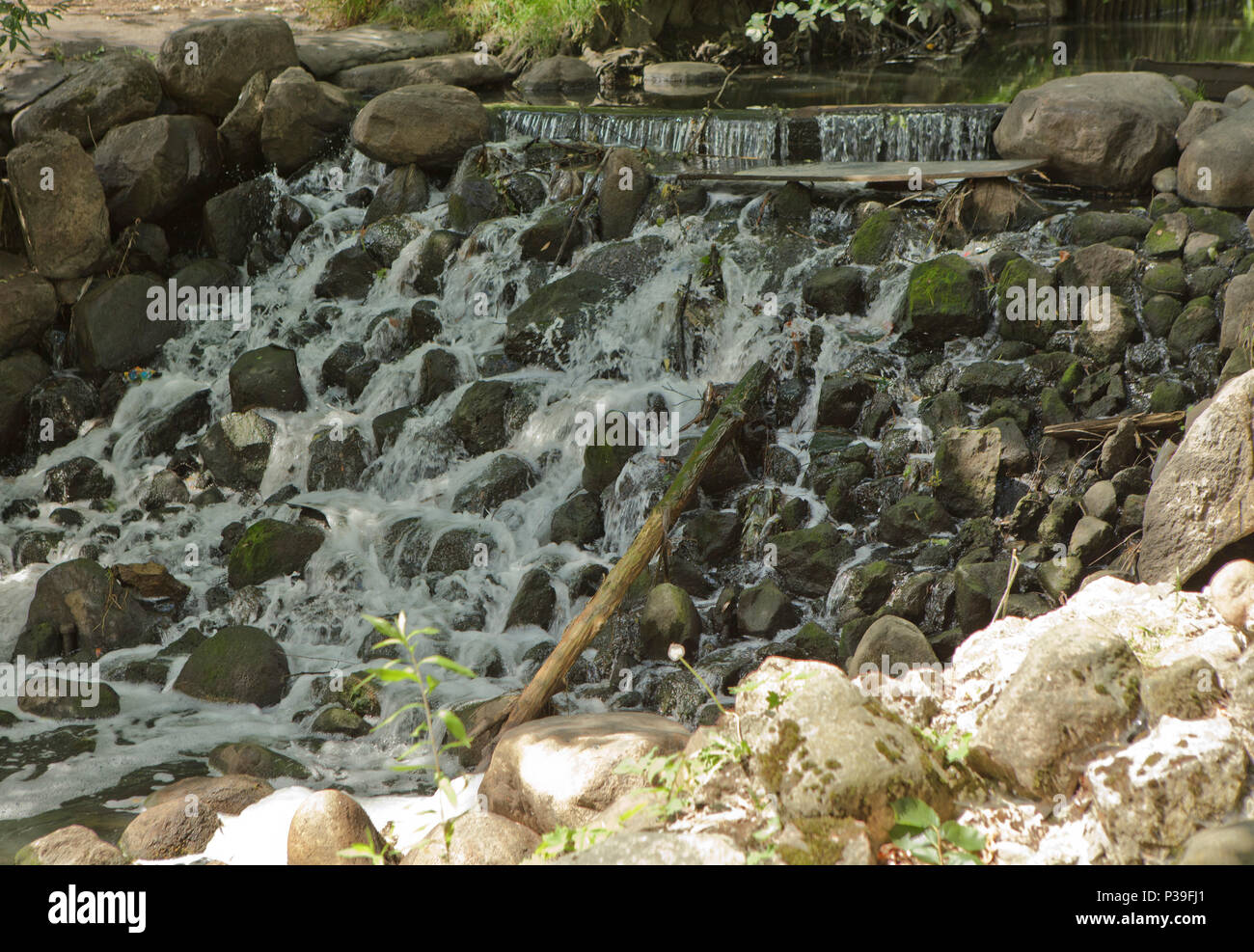 Schönen Wasserfall im Wald Stockfoto