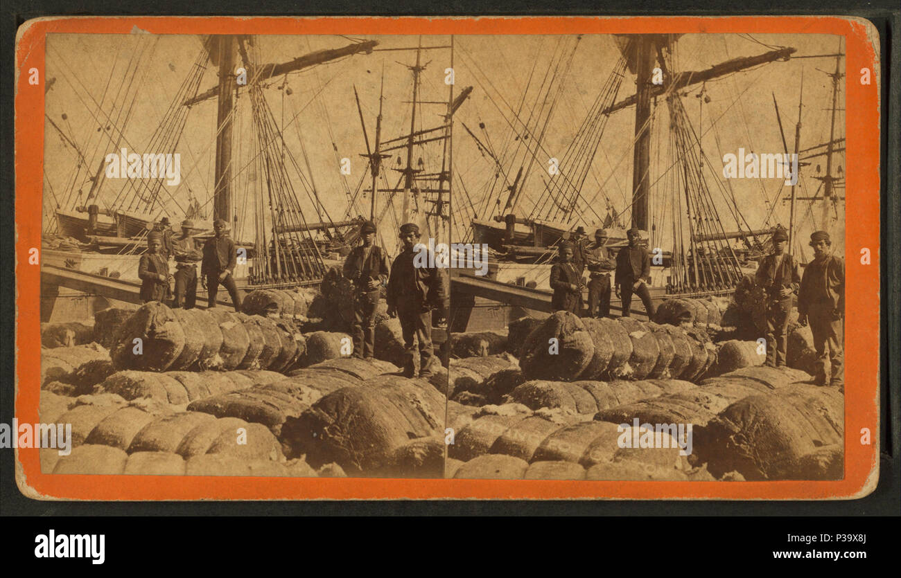 . Afrikaner longshore Männer und Ballen Baumwolle auf dem Dock. Abdeckung: 1867?-1925?. Quelle Impressum: 1867?-1925?. Digitale Element veröffentlicht 1-25 2006; Aktualisiert7-22-2008. 16 Afrikaner longshore Männer und Ballen Baumwolle auf dem Dock, von Steuerparadiesen. Stockfoto