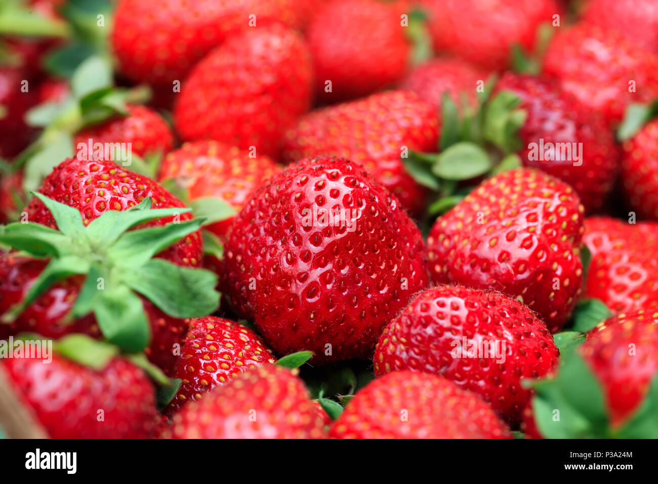 Beste Hintergrund mit frisch geernteten Erdbeeren im grossen Rahmen Bild. Frische organische und reife rote Erdbeere im Makro Bild. Konzeptionelle Bild. Stockfoto