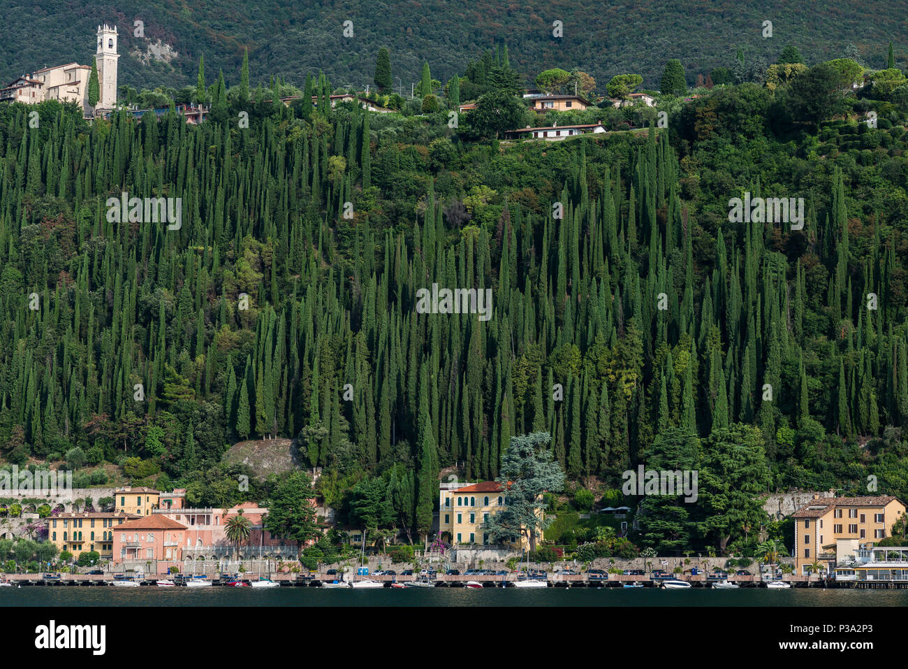 Malcesine, Italien, Ansicht der Cypress Grove auf der Bergseite Stockfoto