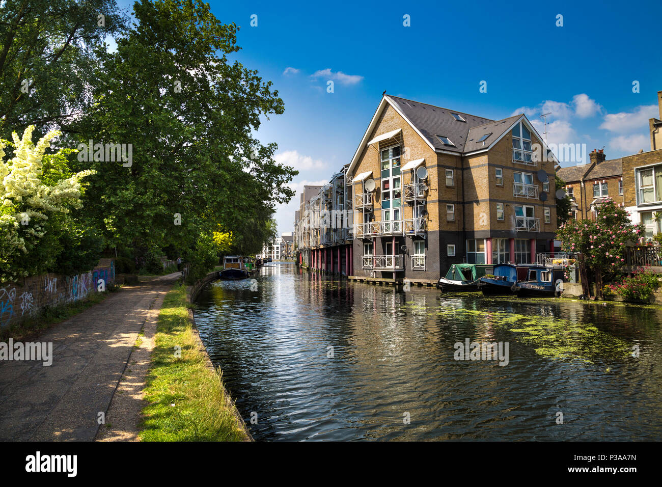 Häuser entlang des Treidelpfads am Regents Canal, an der Hormead Road, in der Nähe von Westbourne Park, London, Großbritannien Stockfoto