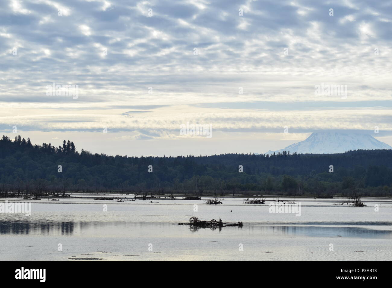 Waterfront Blick auf Mt. Rainier gegen bewölkten Himmel Stockfoto