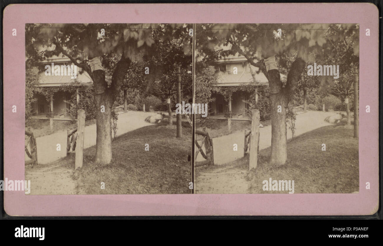 171 Llewellyn Park View, Orange Mts. Blick auf ein Haus, von Robert N. Dennis Sammlung von stereoskopische Ansichten Stockfoto