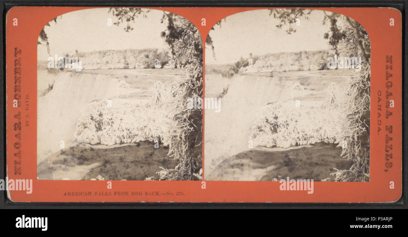 19 American Falls von Hog zurück, die von Davis, S. (Saulus) Stockfoto