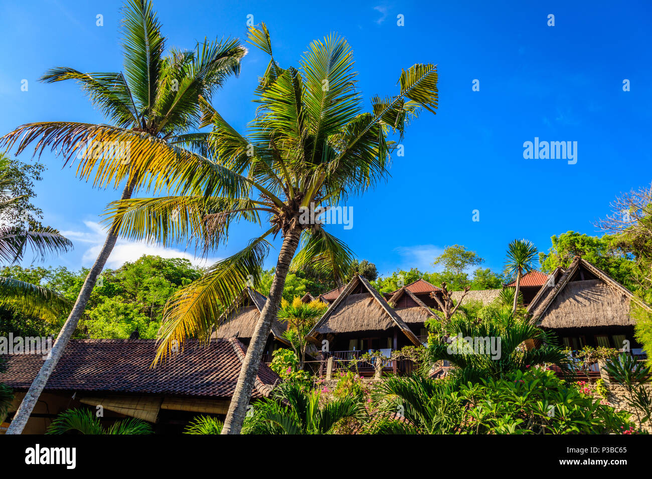 Palmen und Bungalows, Nusa Lembongan, Indonesien. Konzept der tropischen Destination Urlaub. Stockfoto