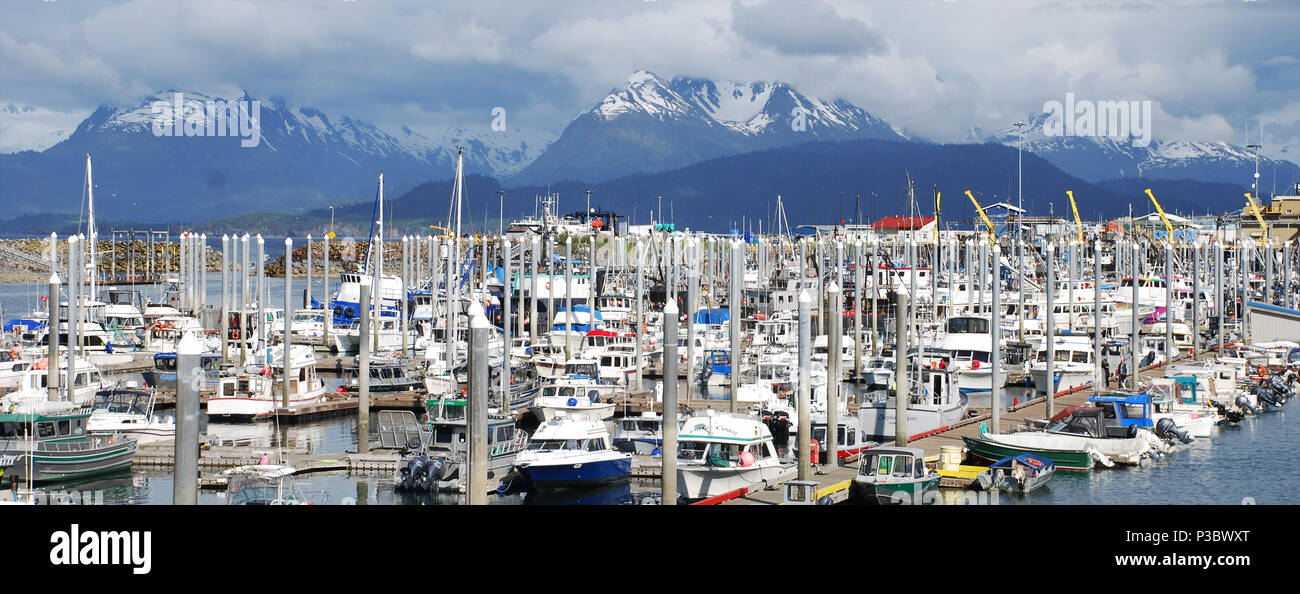 Angeln Marina bei Homer Spit, Homer, Alaska, USA Stockfoto