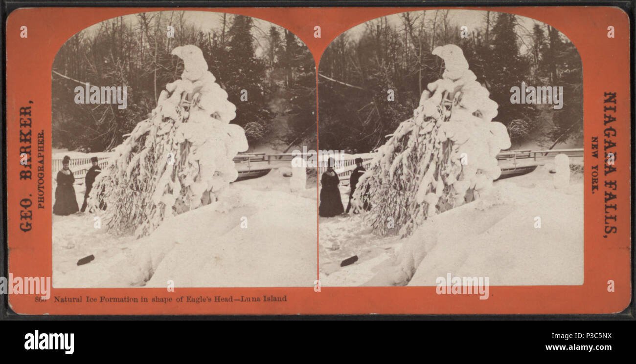 205 natürliche Eisbildung in Form von Eagle's Head, Luna Island, von Barker, George, 1844-1894 Stockfoto