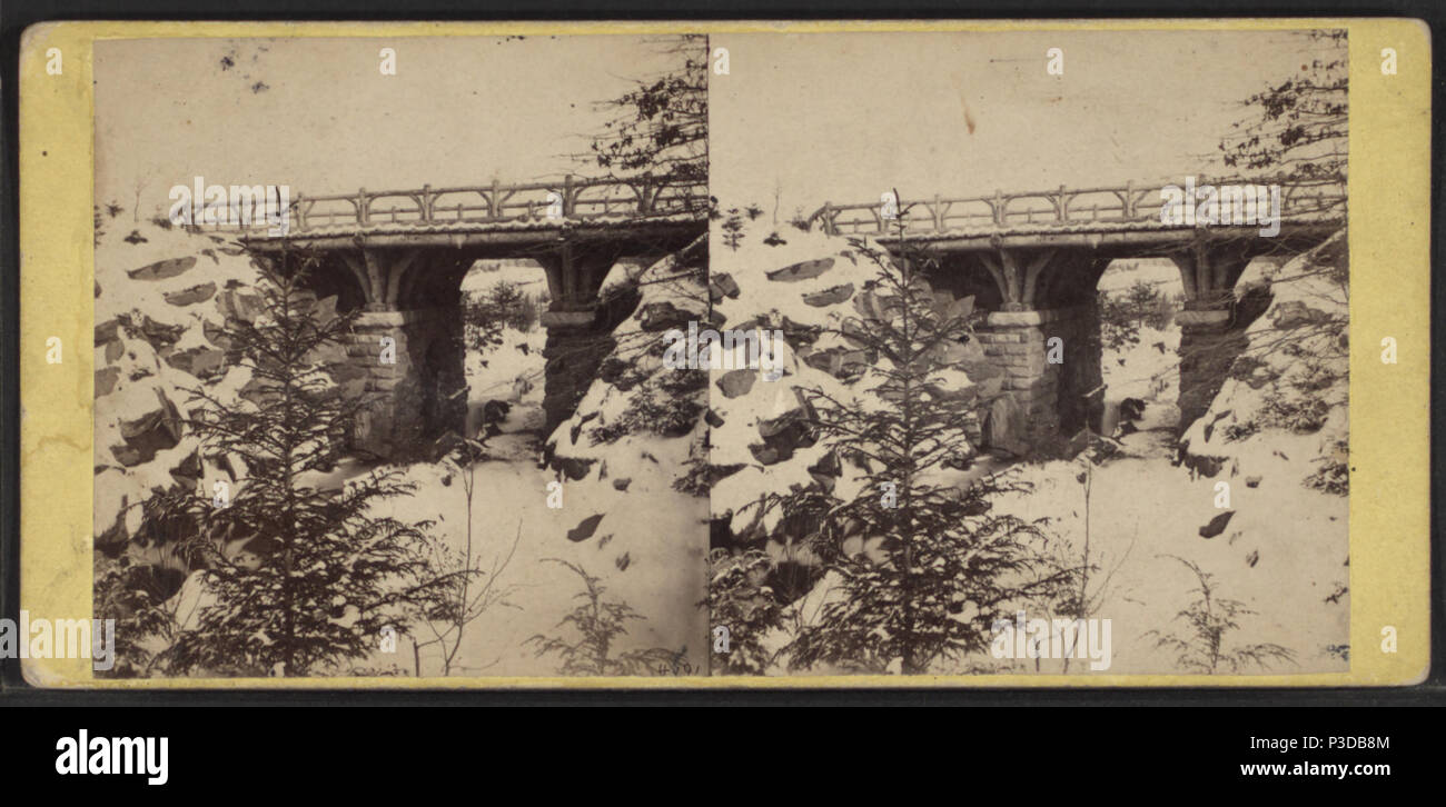260 Rustikale Brücke über die Schlucht, östlich von der Pool, der im Winter 1866 von E.&amp; HT Anthony (Hart) Stockfoto