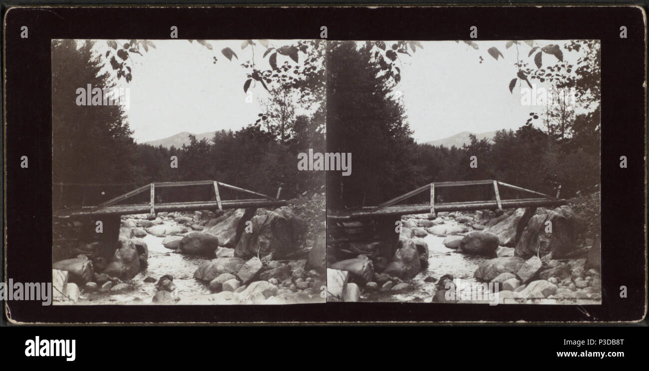 . Rustikale Brücke mit Fluss unten. Abdeckung: 1891-1896. Quelle Impressum: 1891-1896. Digitale Element veröffentlicht 2-16-2006; 2-11-2009 aktualisiert. 260 Rustic Bridge mit Fluss unten, von James G. Sperren Stockfoto
