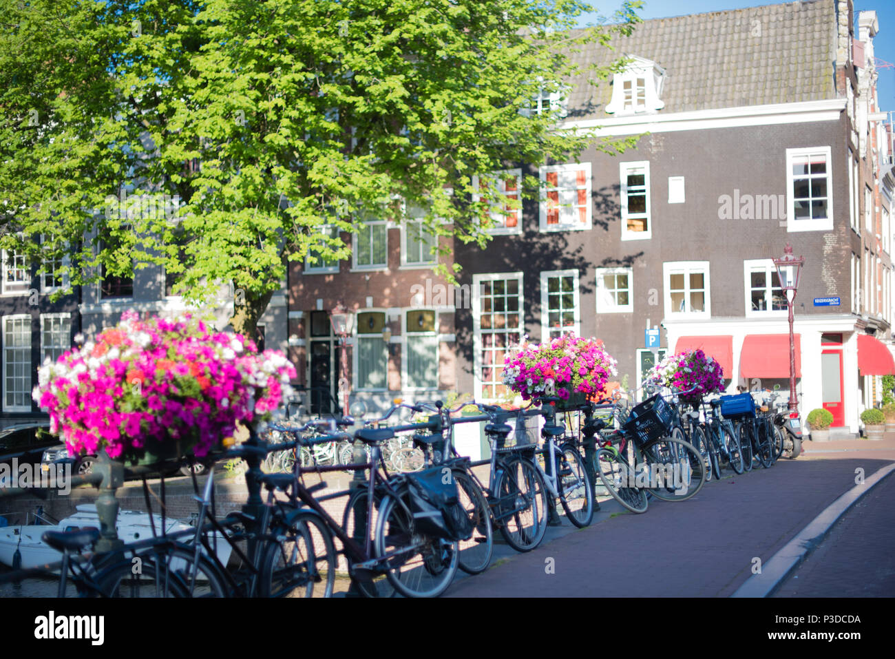 Hübsche Blütenpracht zusammen mit all den geparkten Fahrräder auf einer Brücke über den Kanal in Amsterdam Stockfoto
