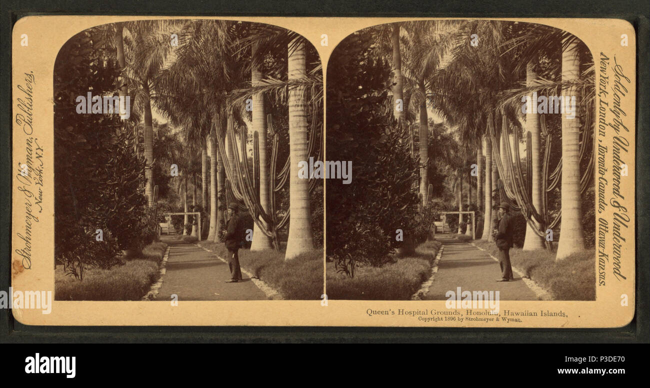 248 Queen's Gelände, Honolulu, Hawaii Inseln, von Strohmeyer & Amp; Wyman Stockfoto