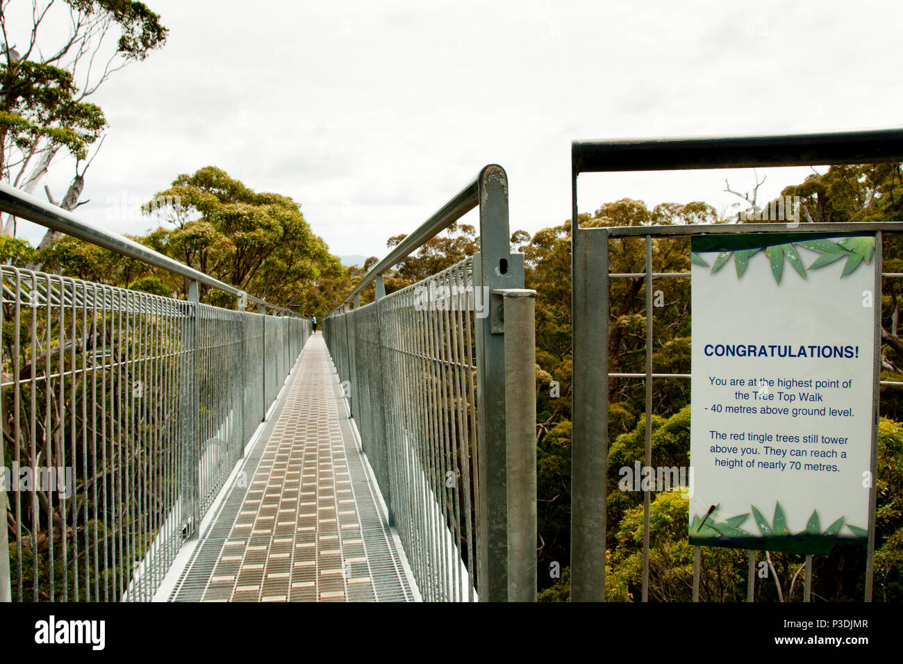 Tree Top Walk - Blaustein - Australien Stockfoto