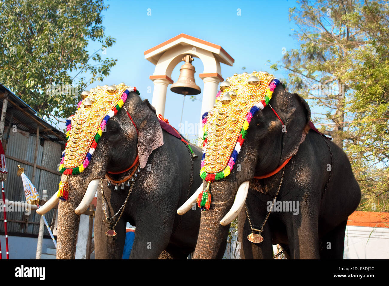 Dekoriert Elefanten Parade am jährlichen Festival im Siva Tempel, Cochin, Indien Stockfoto