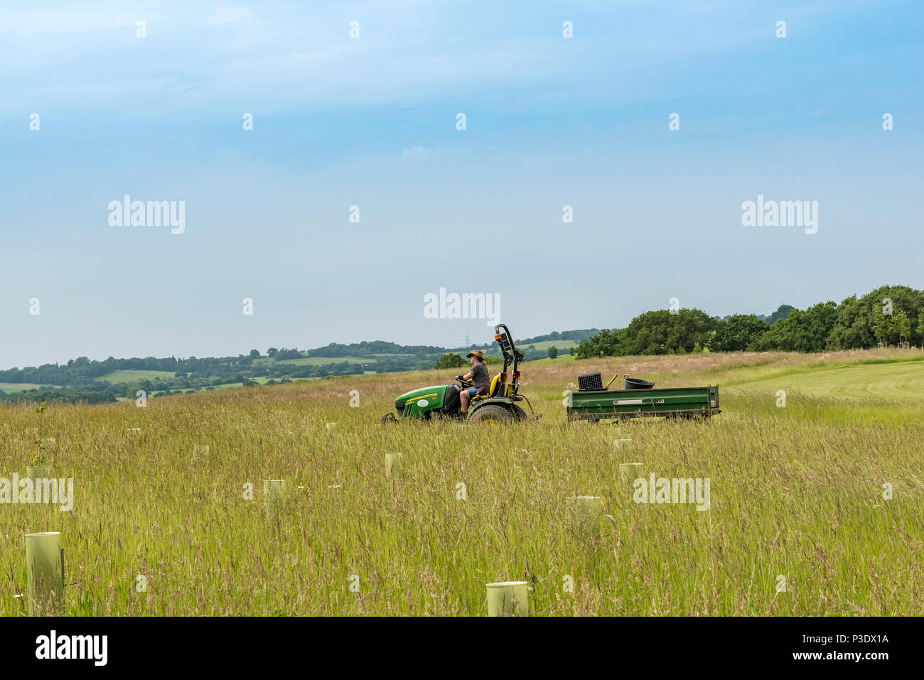 Mini-Traktor durch eine weibliche Gärtner angetrieben wird, Fahrt über die Wiese an der RHS Hyde Hall Essex. Stockfoto