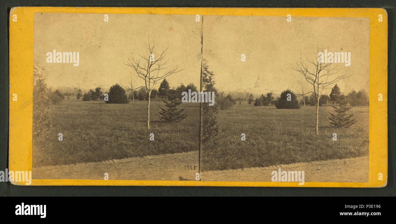 274 Smithsonian Institut gründen. Capitol in der Ferne, von E.&amp; HT Anthony (Hart) Stockfoto