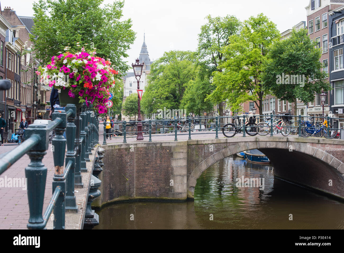 Amsterdam in der Blüte mit Fahrrädern und Kanäle Stockfoto