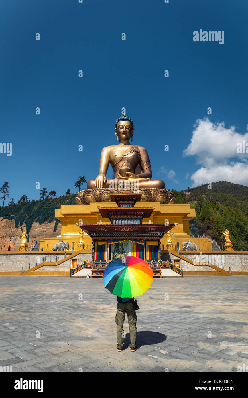 169 Fuß hoch bronze Buddha Statue scheint tagsüber aus der Sicht Stockfoto
