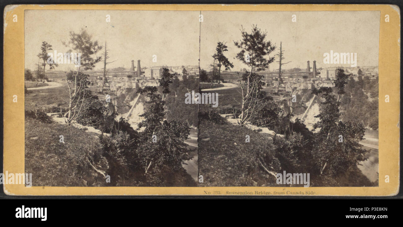 294 Suspension Bridge, von Kanada, von Soule, John P., 1827-1904 Stockfoto