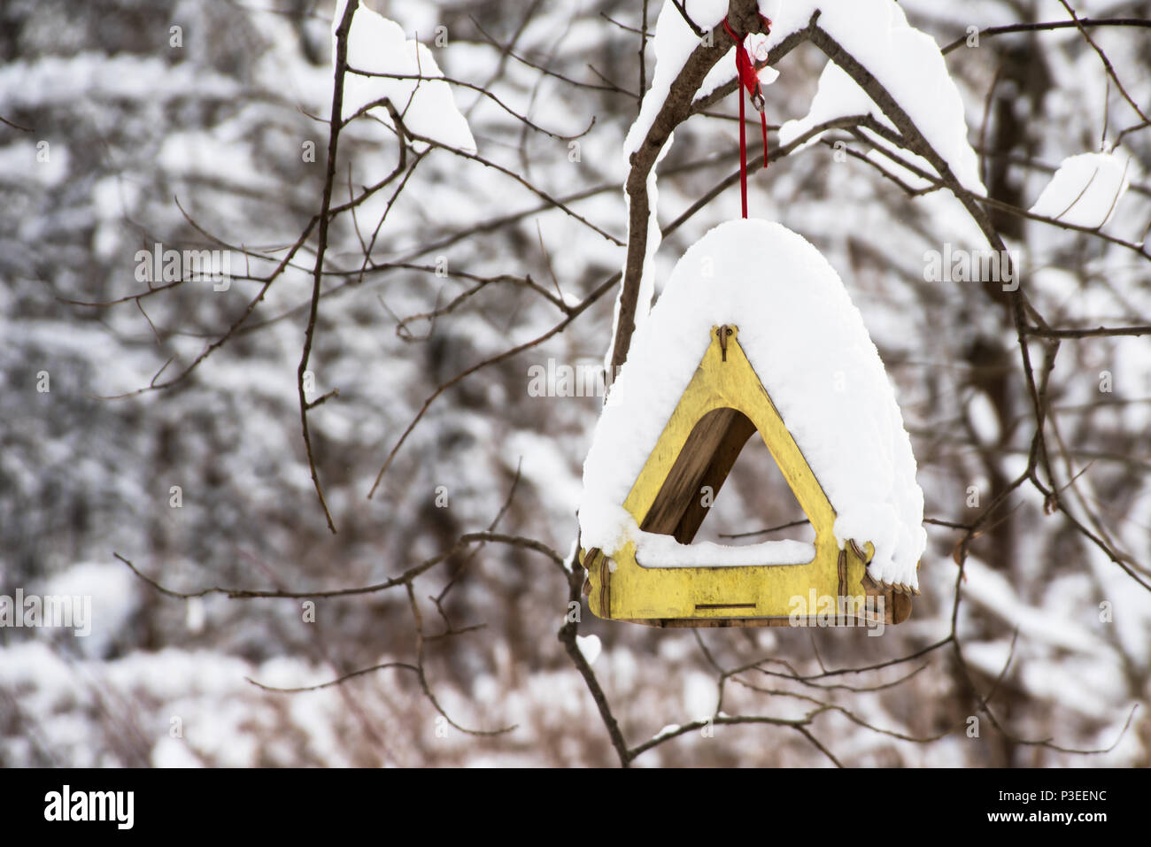 Leere Bird Feeder Holz im Winter Wald Stockfoto