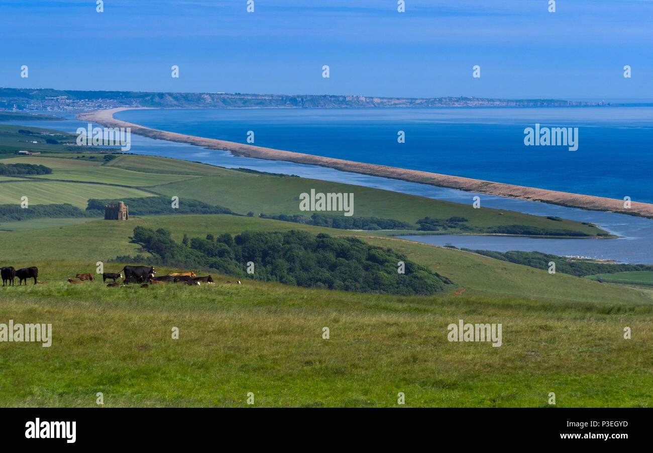 Chesil Beach an der Jurassic Coast in Dorset Südengland Stockfoto