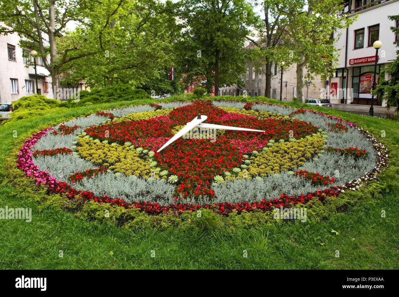 Blumenuhr auf der Main Street von Székesfehérvár, Ungarn. Stockfoto