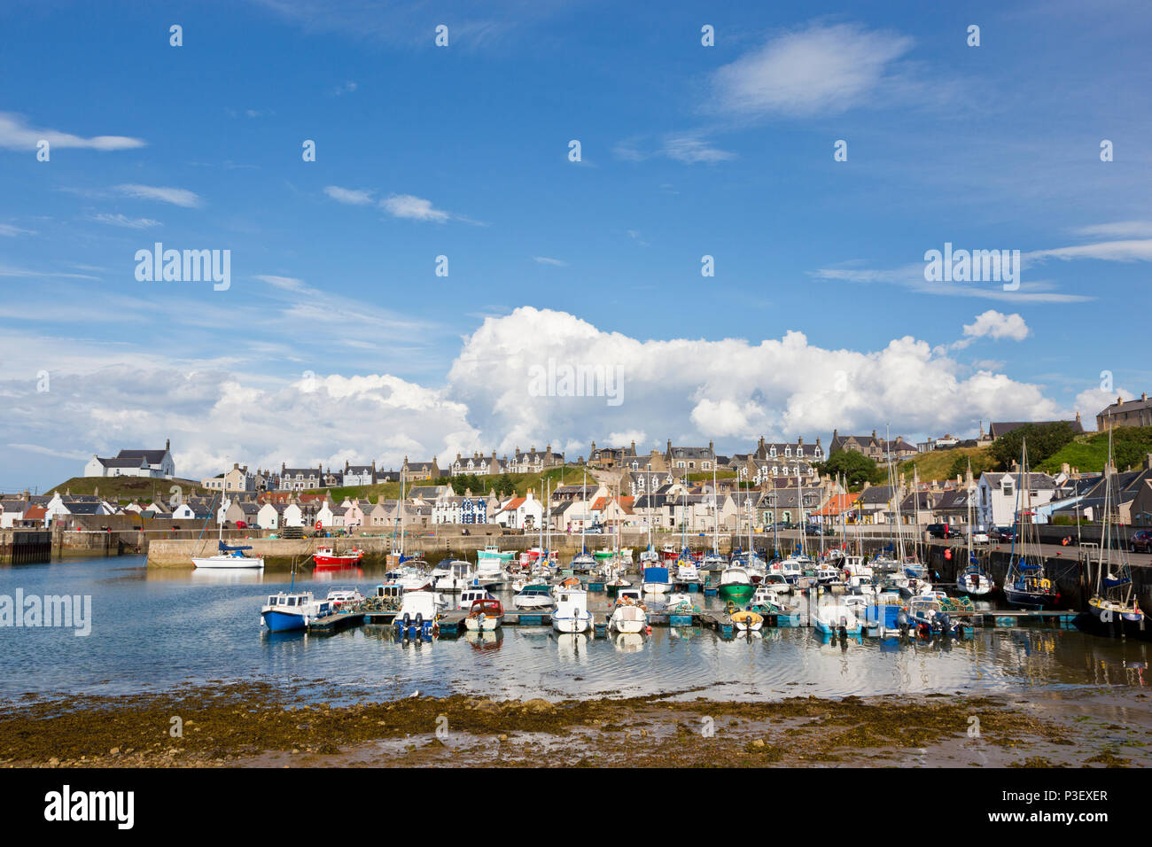 Blick über den Hafen von Findochty auf den Moray Firth in Schottland Stockfoto