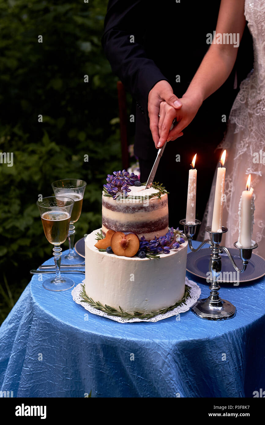 Romantische Hochzeit Abendessen, im Park am Wasser. Viel Grün. Tabelle für eine romantische Hochzeit Abendessen, Datum. Der Park am See. In blauer Farbe. Wit Stockfoto