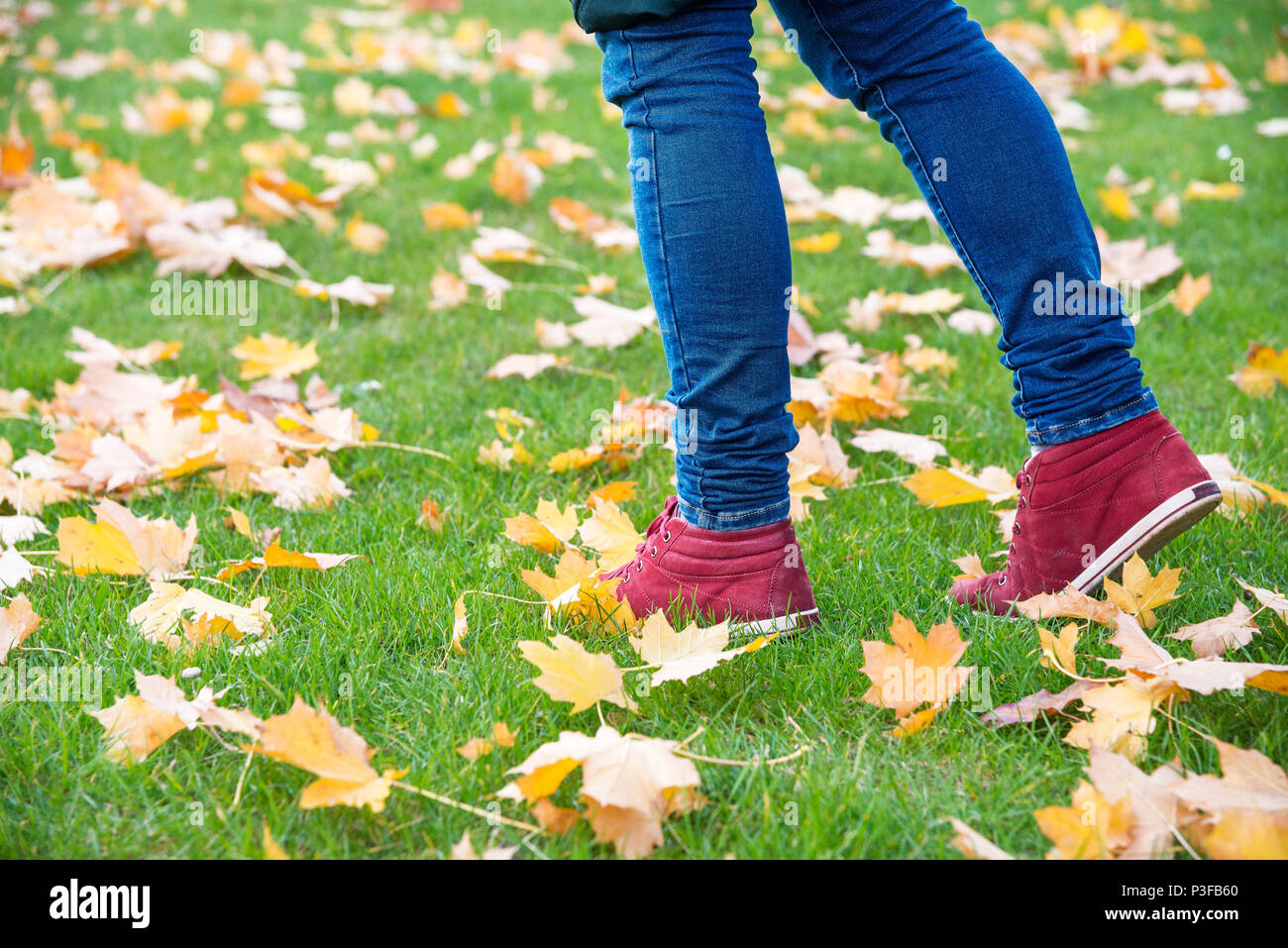 Füße Turnschuhe walking auf Herbstlaub Stockfoto