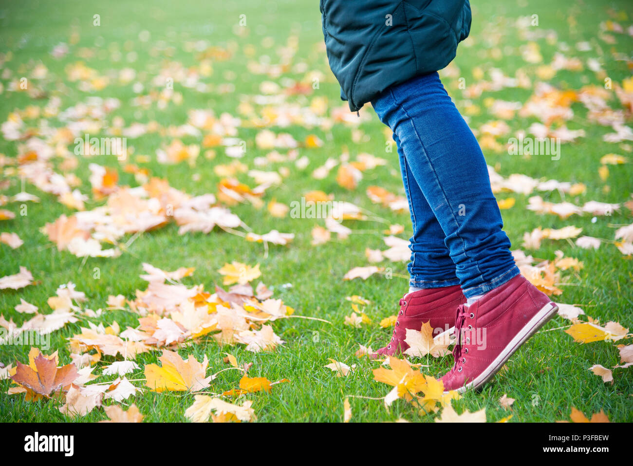 Füße Turnschuhe walking auf Herbstlaub Stockfoto