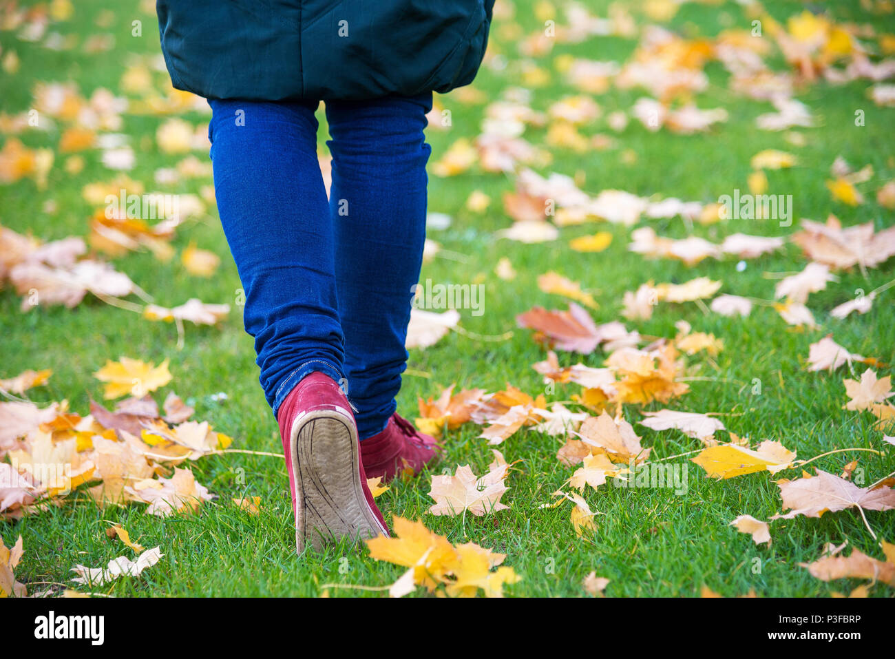 Füße Turnschuhe walking auf Herbstlaub Stockfoto