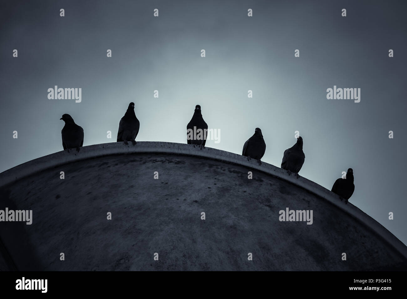 Die Tauben sitzen auf der Kante des Dachs unter dramatischen Himmel, dunkle stilisierte Foto, blau tonale Filterwirkung Stockfoto