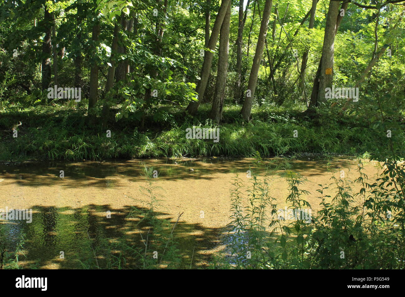 Wunderschöne Aussicht von Chemung County und Umgebung Stockfoto