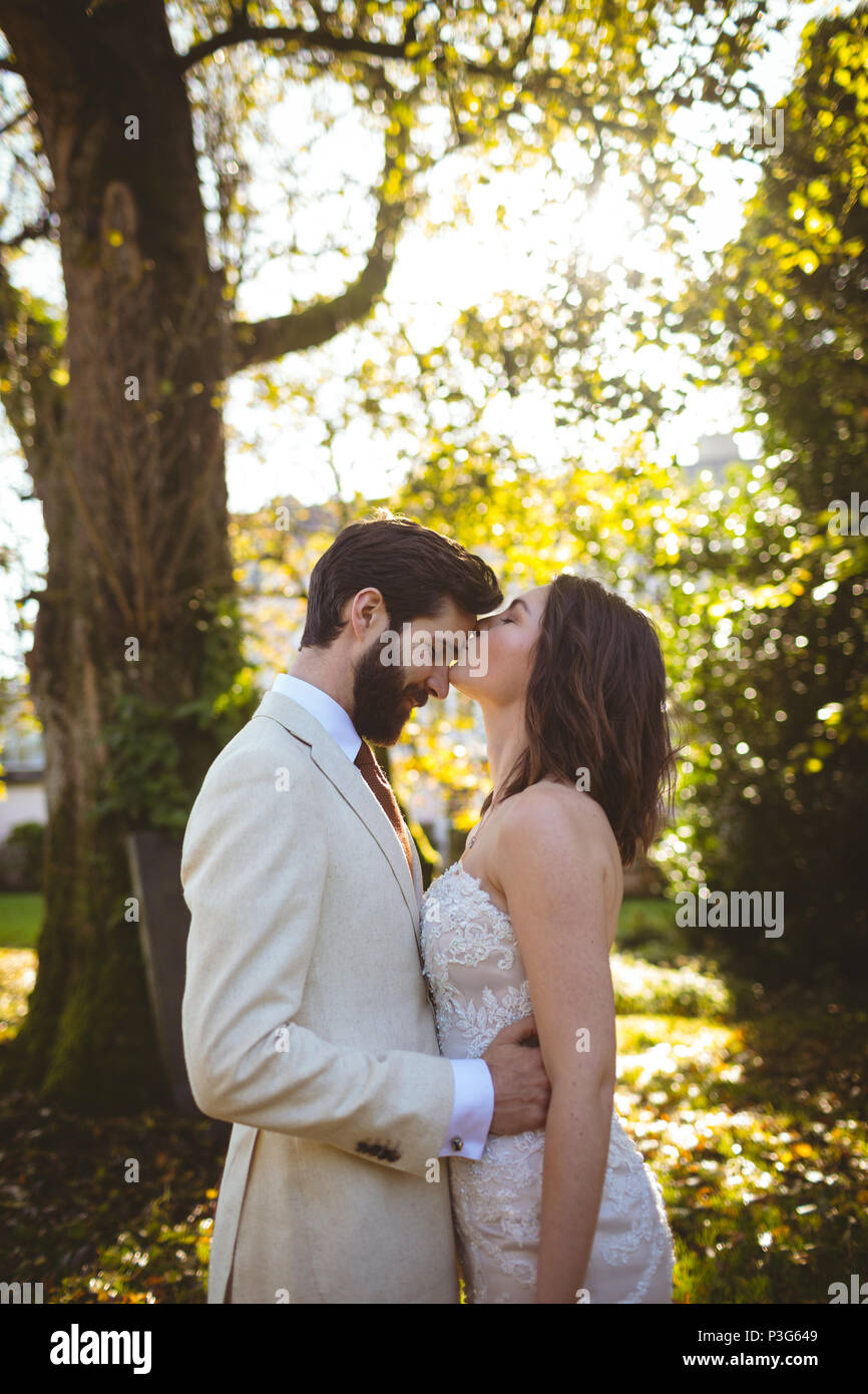 Braut küssen auf die bräutigame Stirn im Garten Stockfoto