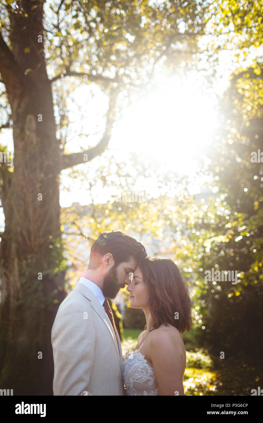 Romantische Braut und Bräutigam Umarmung im Garten Stockfoto