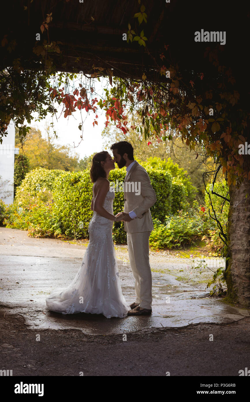Braut und Bräutigam im Garten Eingang küssen Stockfoto