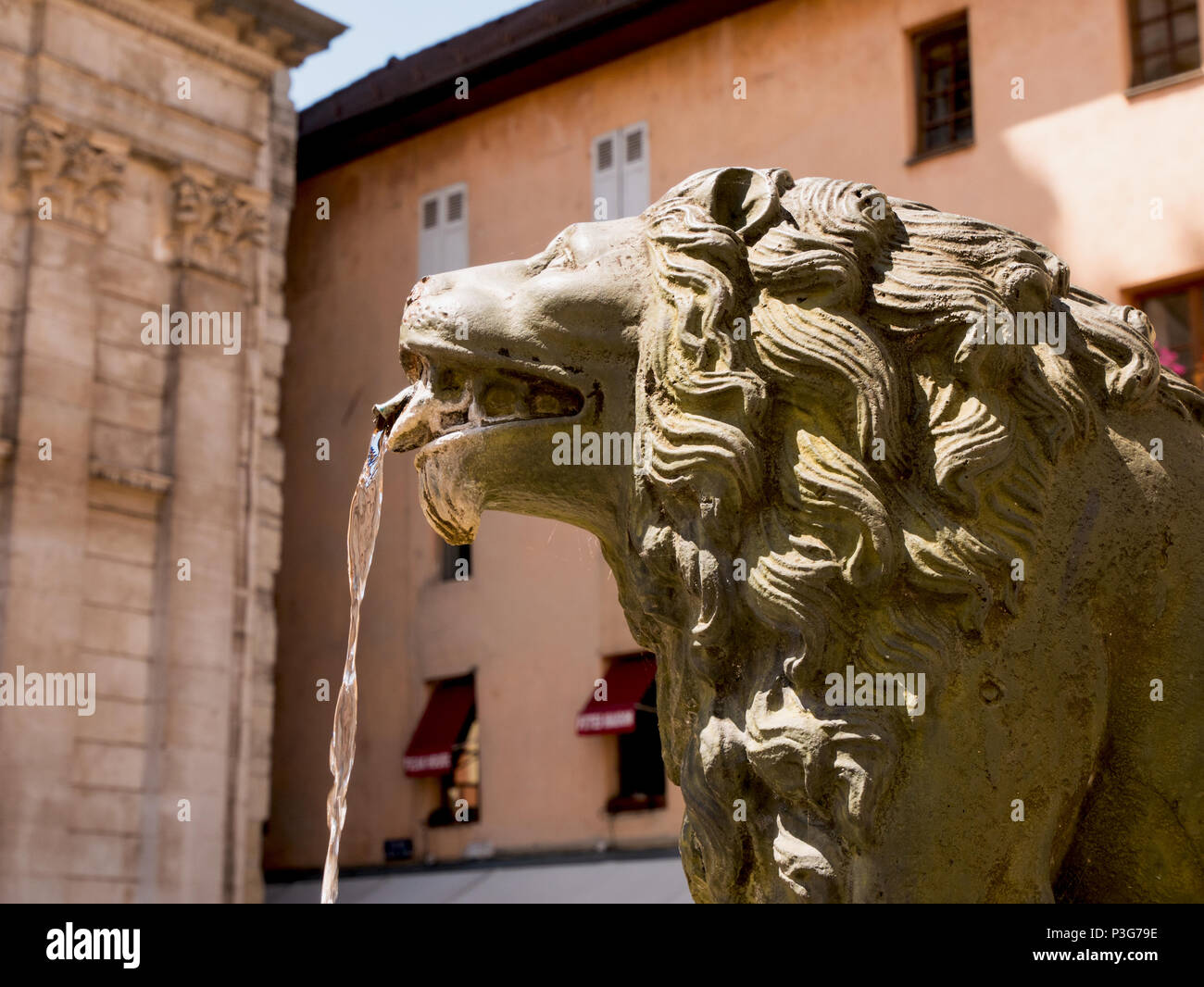 Detail auf dem Kopf des Löwen auf den Brunnen in der Innenstadt von Annecy, Frankreich Stockfoto