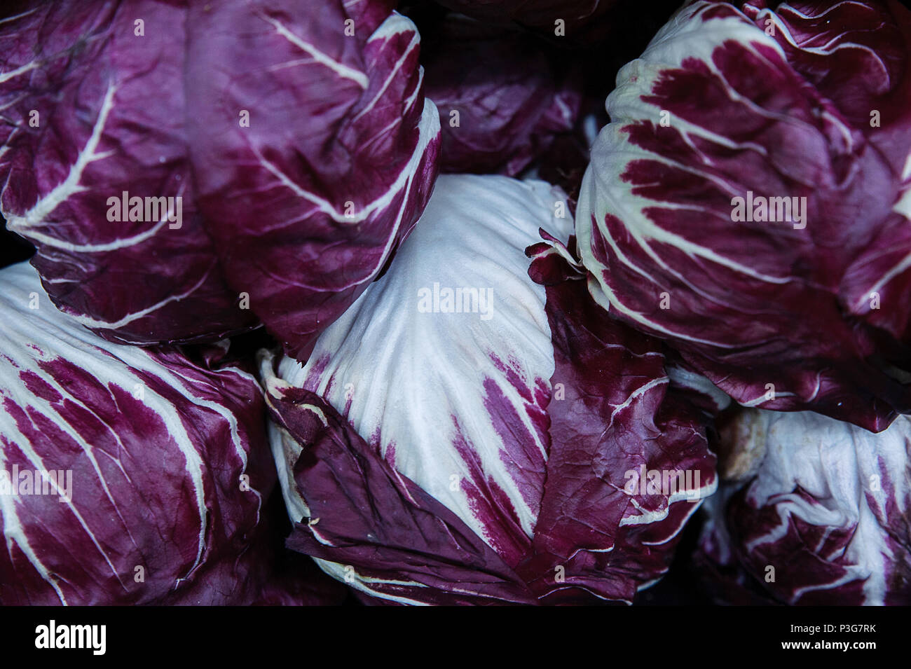 Essen Hintergrund - lila Radicchio, Haufen auf dem Bauernmarkt Stockfoto