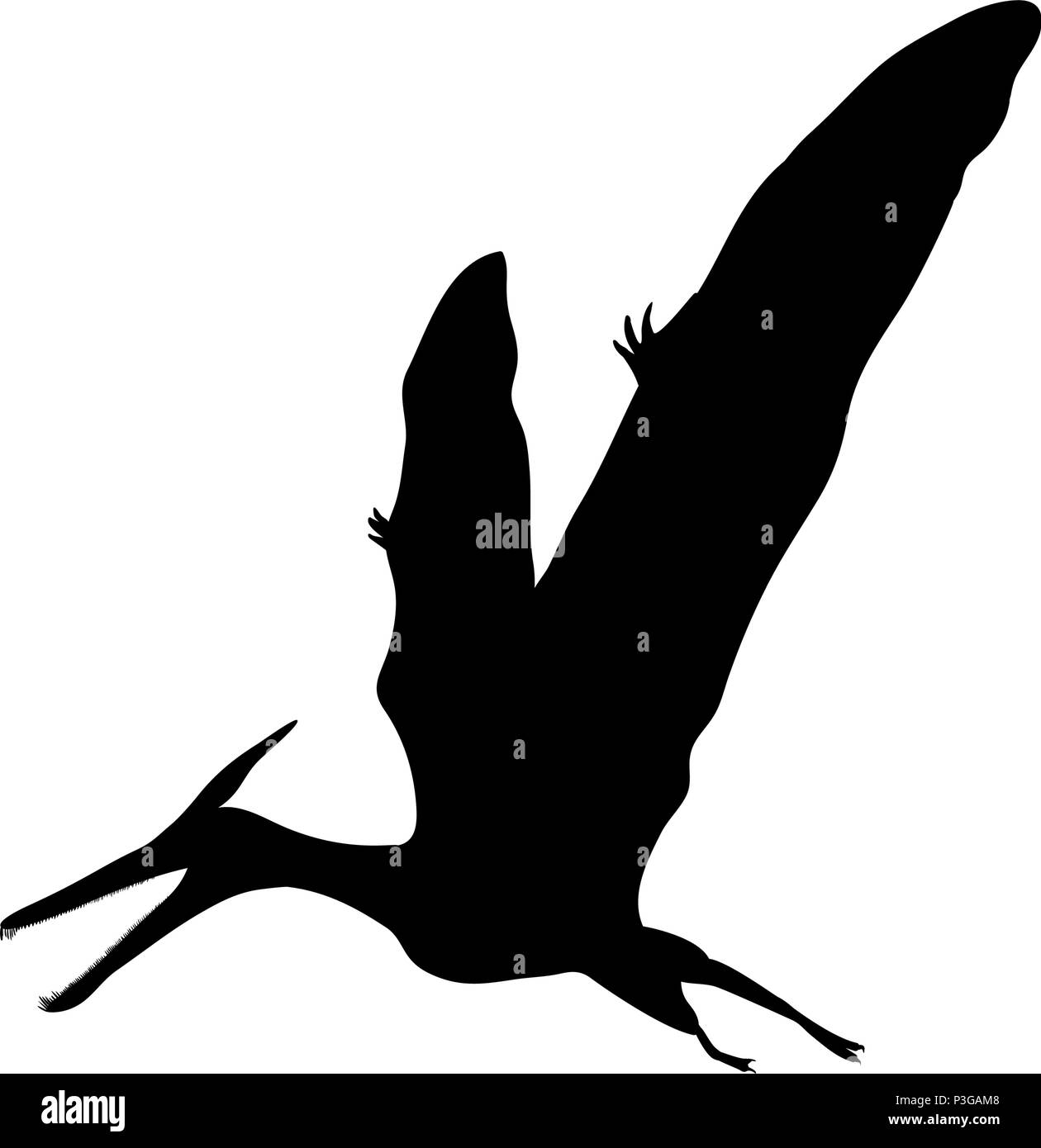 Silhouette Pterosaur Dinosaurier jurassic prähistorische Tier. Vector Illustration Stock Vektor