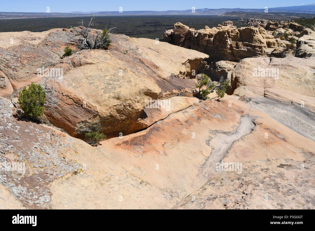 Sandstein Bluffs übersehen in El Malpais National Monument Stockfoto