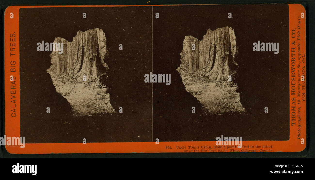 . Uncle Tom's Cabin, die von einem Punkt 40 Meter in das Innere des Big Tree Eagle Wing, Calaveras County. Alternative Titel: Calaveras große Bäume, 894. Erstellt: Ca. 1864?-1874?. Reichweite: Ca. 1864?-1874?. Digitale Element veröffentlicht 8-31 2005; 2-12-2009 aktualisiert. 336 Uncle Tom's Cabin, die von einem Punkt 40 Meter in das Innere des Big Tree Eagle Wing, Calaveras County, von Lawrence & Amp; Houseworth 2 Stockfoto