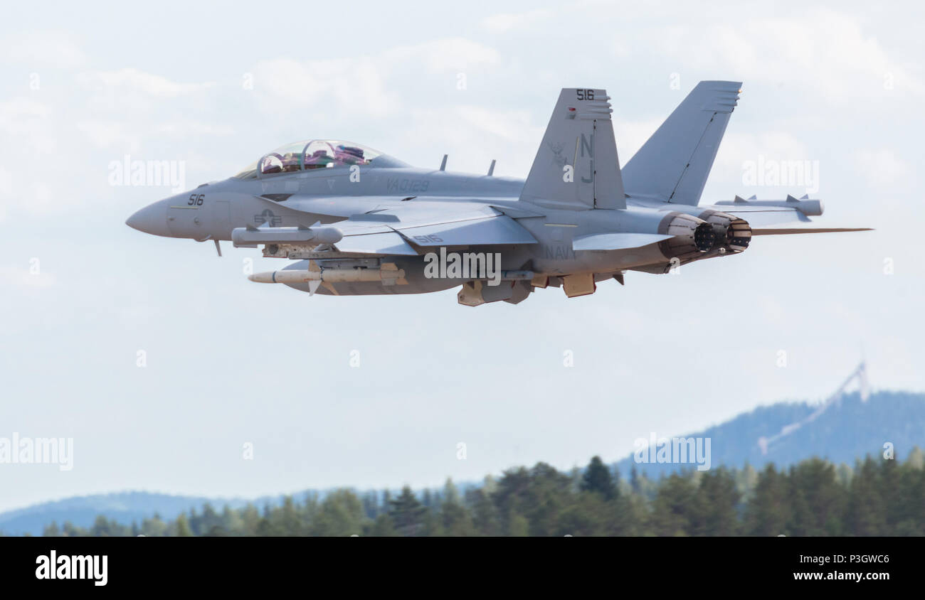 Boeing EA-18G Growler der US Navy fliegen in der Finnischen Luftwaffe 100 Jahre Luftfahrtausstellung in Tikkakoski, Finnland. Stockfoto